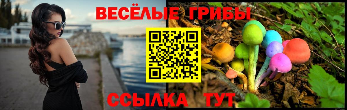 Псилоцибиновые грибы Psilocybine cubensis  закладка  Углич  Галлюциногенные грибы ЛСД  Вход с VPN 