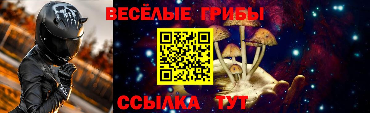 Галлюциногенные грибы GOLDEN TEACHER Углич